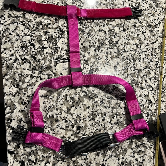 2 Hounds Design - No Pull Harness - Picture 4 of 10